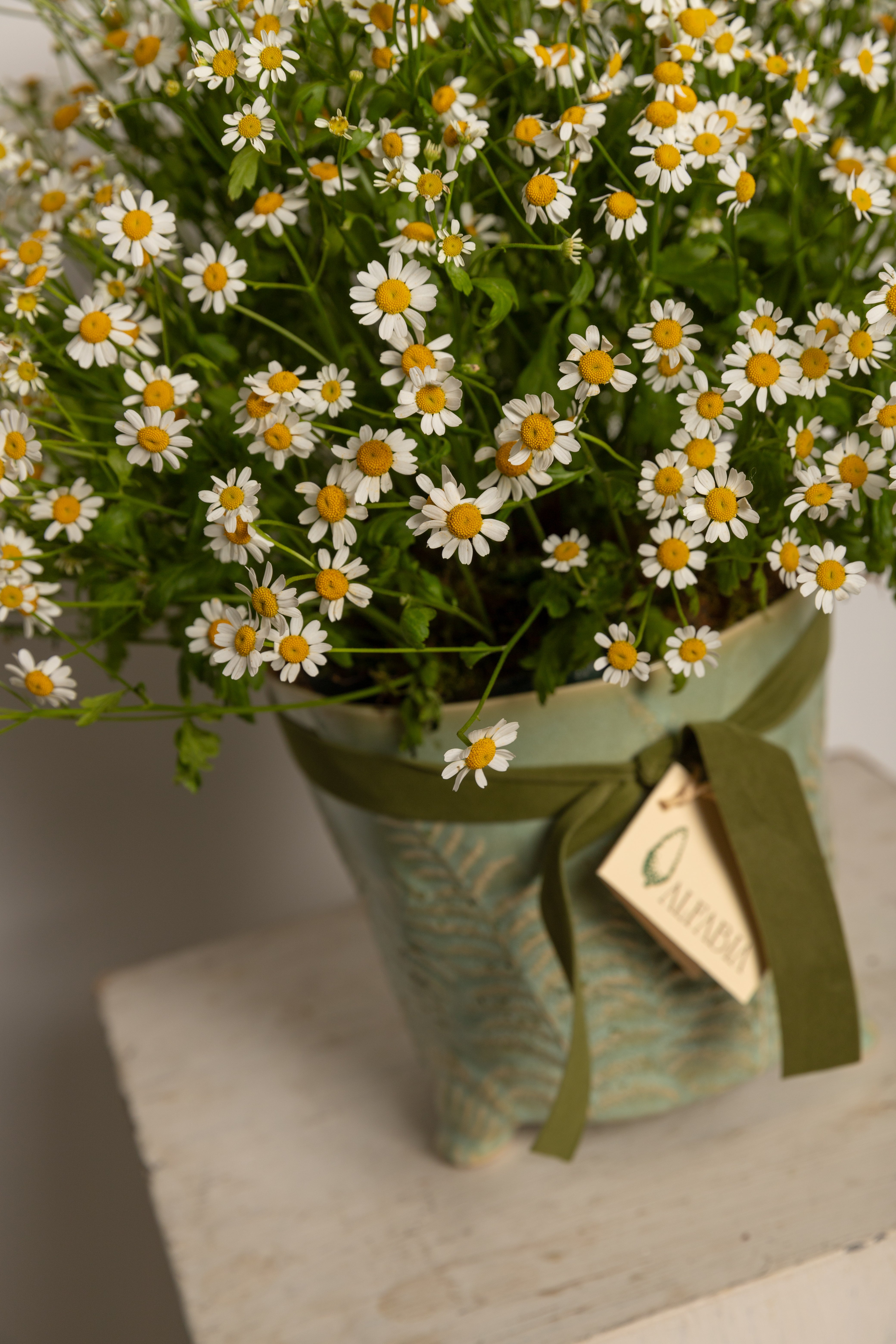Cerámica flor silvestre